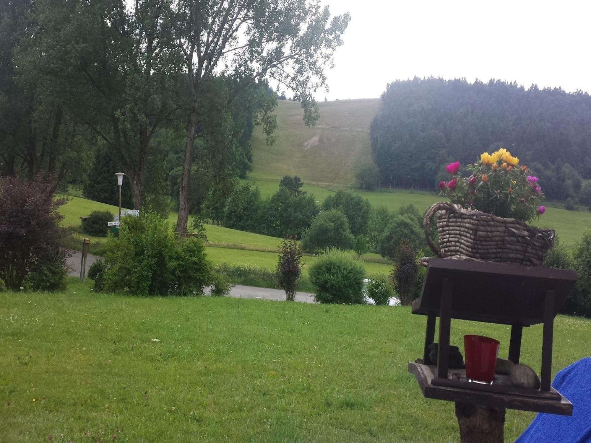Cosy Apartment Over Usseln With Private Terrace Виллинген Экстерьер фото